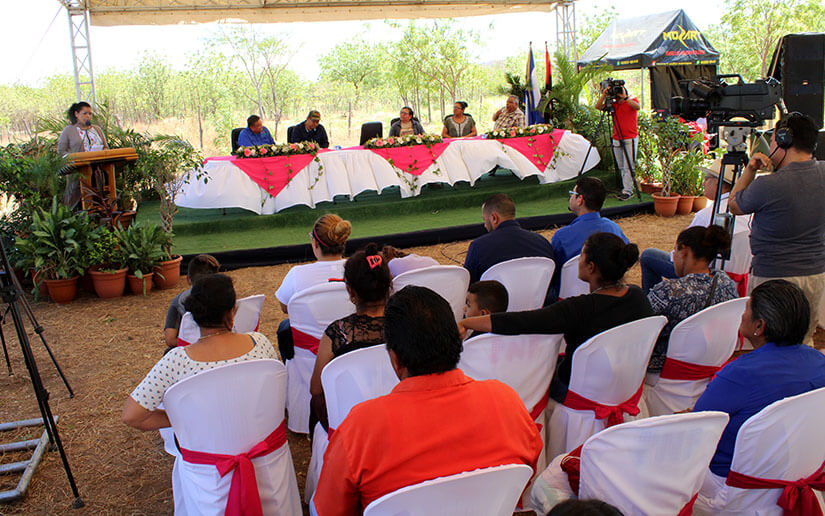 porcinovultura-nicaragua-mejoramiento-genetico